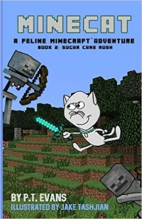 Minecat